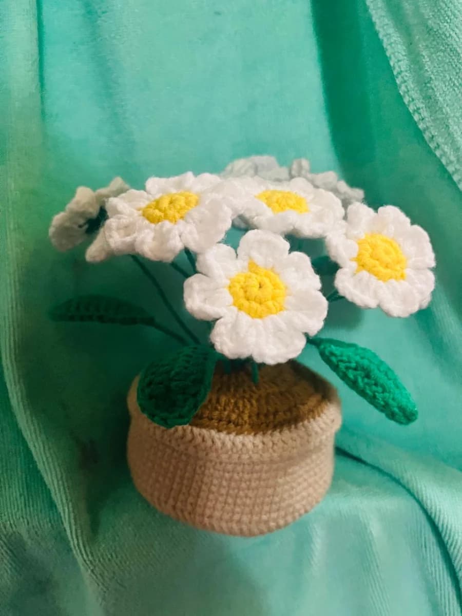 Crochet Flower Pots