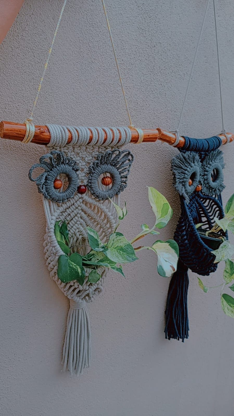 Macrame Owl Pot Hangers