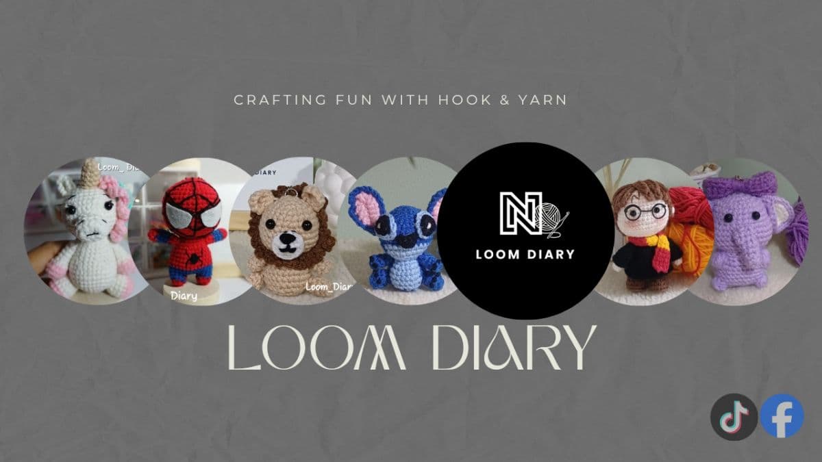 Loom Diary Banner