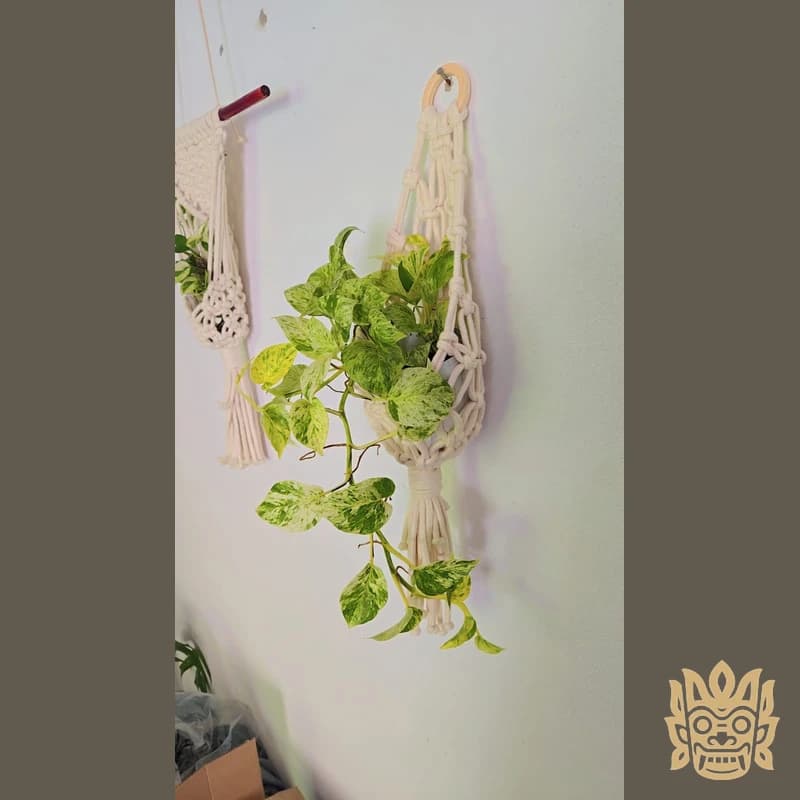 Macrame Flower Pot Holders 3