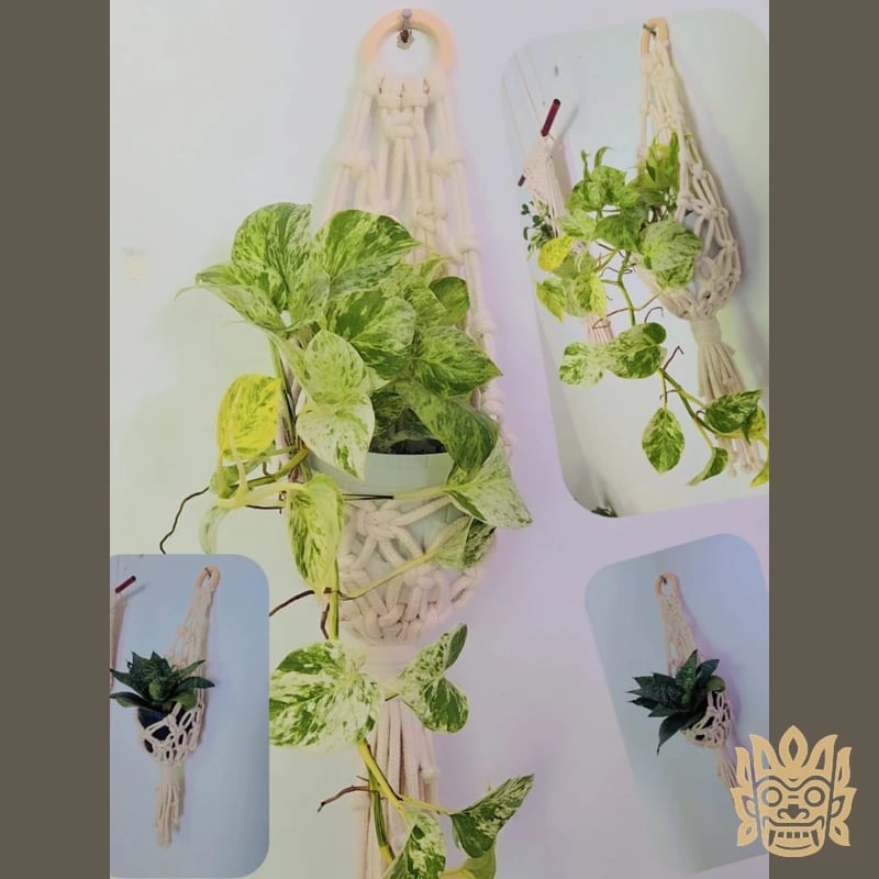 Macrame Flower Pot Holders